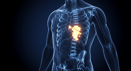 Detailed 3D Render of Human Bone Density with Glowing High-Density Areas