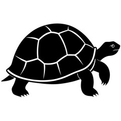 a tortoise silhouette on a white background 