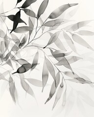 Poster opaco