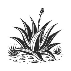 Monochrome Agave _ A Graphic Botanical Illustration