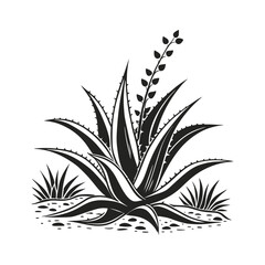 Monochrome Agave _ A Graphic Botanical Illustration