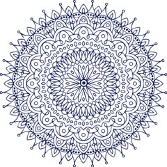 Beautiful flower art and mandala vector design