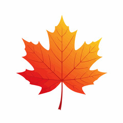 Warm orange maple leaf displayed on the right, white empty canvas on the left