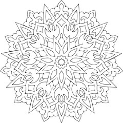 Beautiful flower art and mandala vector design