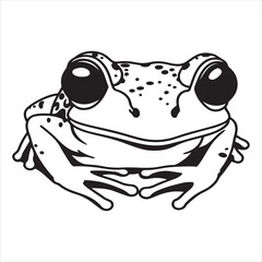 Colorful Tree Frog Close-Up with Dewdrops on Skin