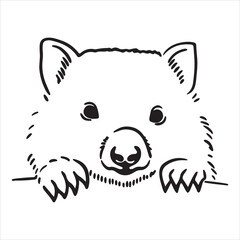 Wild Wombat Close-Up in Bushland Environment