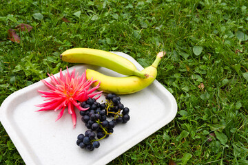 Two yellow bananas, a bunch of dark grapes, and a vibrant pink dahlia are arranged on a white tray...