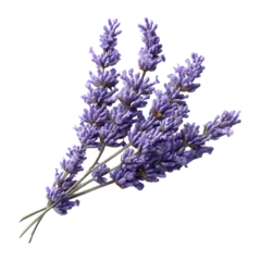Fototapete Lavender Flowers Sprigs Transparent PNG © Jiajia