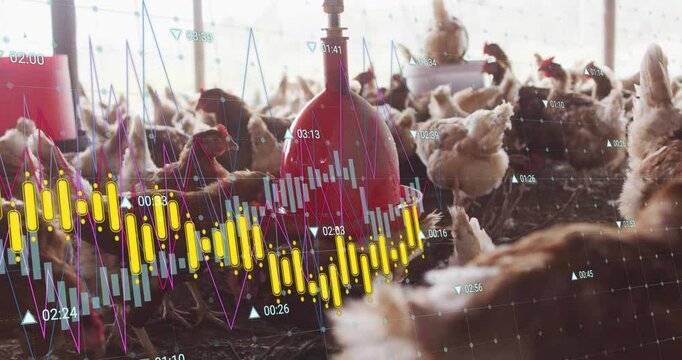 Poultry barn scene animating hens crowding around red nipples, displaying line graphs and waveforms