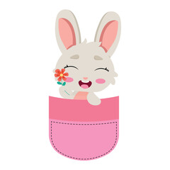 Adorable bunny in a pocket