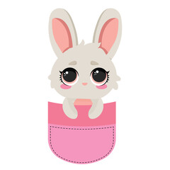 Adorable bunny in a pocket