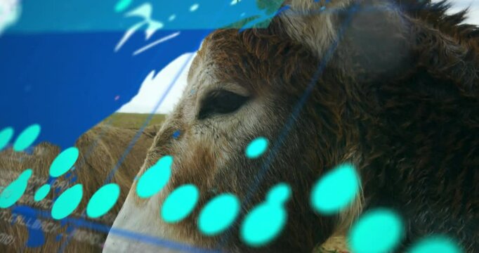 Donkey head merging field with holographic interface for tech demo, displaying floating cyan dots