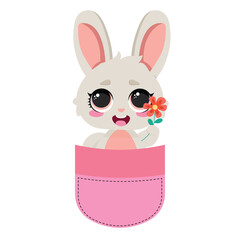 Adorable bunny in a pocket
