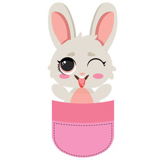 Adorable bunny in a pocket