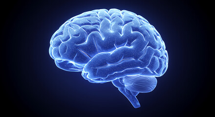 Glowing Blue And Purple 3D Human Brain Medical Visualization