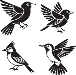 bird vector, flying bird, bird shadow, crow silhouette, eagle silhouette, bird profile, bird icon, black bird, bird in flight, perched bird, abstract bird,