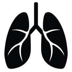 butterfly on a black background