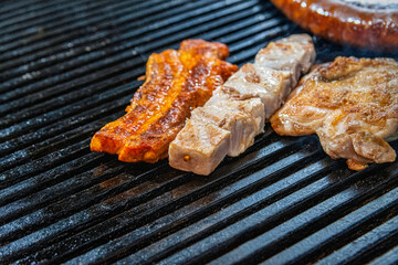 Grilled meat selection on barbecue grill grates with a golden, crispy finish. Selective focus.
