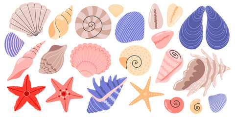 Sea shells set, mollusks, sea spiral snail, starfish. Ocean exotic underwater seashells collection stickers. Hand drawn vector illustration isolated on white background