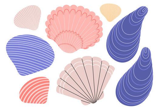 Sea shells set. Ocean exotic underwater seashells collection stickers. Hand drawn vector illustration isolated on white background