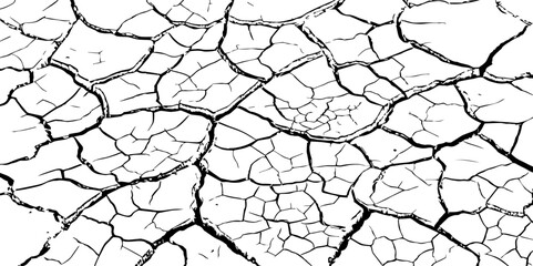 Closeup of dry fissure ground. White dried and cracked ground earth background.Gray crack on earth texture. erosion.	