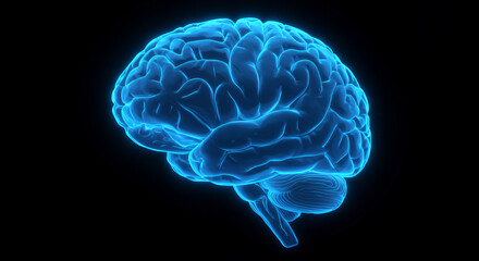 Glowing Blue 3D Brain Model with Cerebrospinal Fluid in Dramatic Lighting
