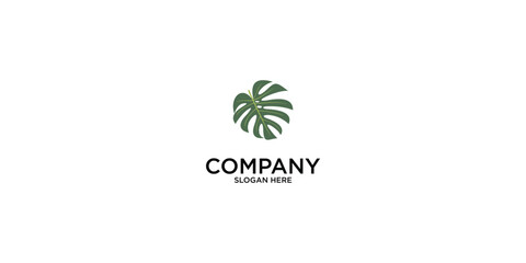 Flower leaves logo design with unique concept