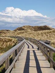 Fototapeta premium Wooden walkway through the Dunes at Wenningstedt beach on the German North Sea island Sylt