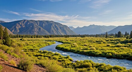 Scenic Natural Landscape Geographical Features Ecosystem View Mountain River Forest Environmental Photography