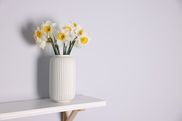 Beautiful daffodils in vase on white shelf indoors, space for text