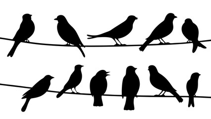 silhouette of birds sitting on a wire