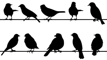 silhouette of birds sitting on a wire