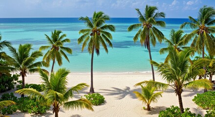 Obraz premium Beautiful Tropical Beach Exotic Island Palm Trees Paradise Seascape Vacation Sand Sea Shore Idyllic