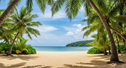 Fototapeta premium Palm Trees Empty Idyllic Tropical Sand Beach Paradise Seascape Vacation Relaxation Serene Coastline View