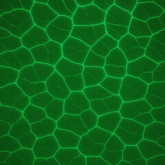 Obraz premium Glowroot Veins.An abstract background, organic pattern of interconnected glowing green lines, resembling the cellular structure of a magical leaf or the energy veins of a fantasy root system