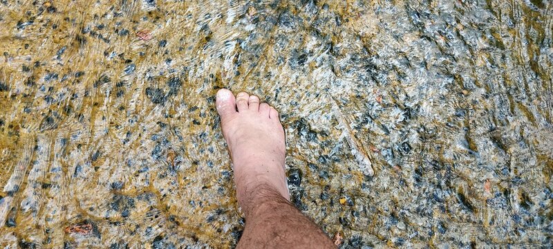 Bare feet in the crystal clear water of the stream, in spring or summer, on a sunny day.