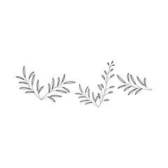 Fototapeta premium botanical leaf vector design template