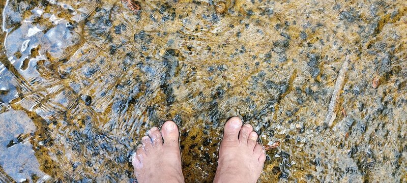 Bare feet in the crystal clear water of the stream, in spring or summer, on a sunny day.