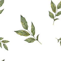 Seamless pattern with watercolor leaves on a sprig of coffee. Hand drawn, isolated on a white background. For prints, cards, textiles, kitchen, invitations.