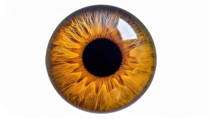 Fototapeten Extreme close-up of a hazel brown human eye showing detailed iris texture on a white background © Olga Gorkun