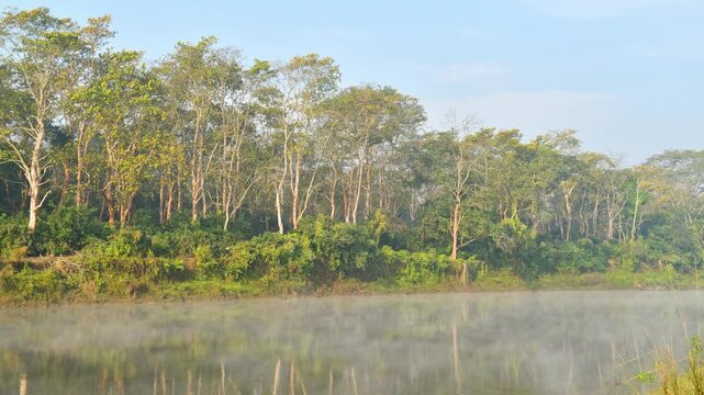Close up time lapse lush jungles panorama with misty river on sunrise. Chitwan national park conservation pristine reserve nature buffer zone. Foggy morning in chitwan.