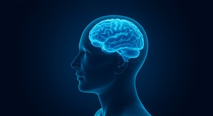 Glowing Blue Human Head with Brain on Dark Blue Background Science and Technology Visualization