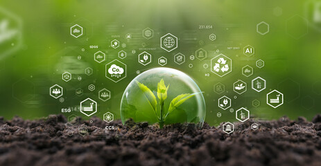 Growing seedling. With green forest icon - ESG concept of environment, ecology and sustainable...