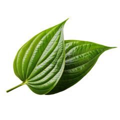 feuille de bétel