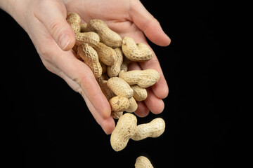 Hands pouring whole unpeeled peanuts, black background.
