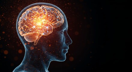 Fototapeta premium Glowing Translucent Head Silhouette with Brain Networks of Orange and Blue Light Emanating From Sparkling Nodes Digital Art on Black Backdrop
