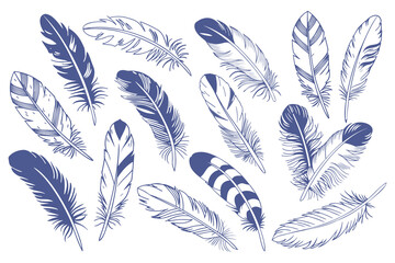 Feathers set. Collection of intricate hand drawn blue bird feathers. Illustration.