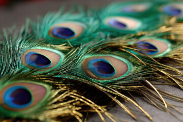 Fototapeta premium Vibrant close up of peacock feathers showcasing their iridescent green and blue hues, with intricate eye patterns. detailed texture and vivid colors create mesmerizing effect