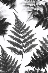 Naklejka premium Detailed black and white illustration of fern leaves creating an artistic pattern on a smooth surface