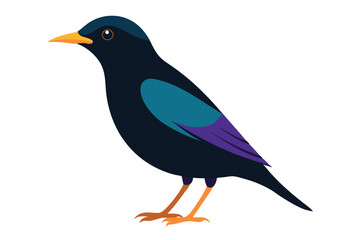 a--starling-vector-art-illustriton-white-baground.eps